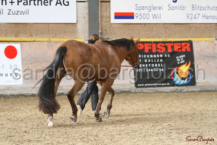 24-ApHC HIH_115.jpg